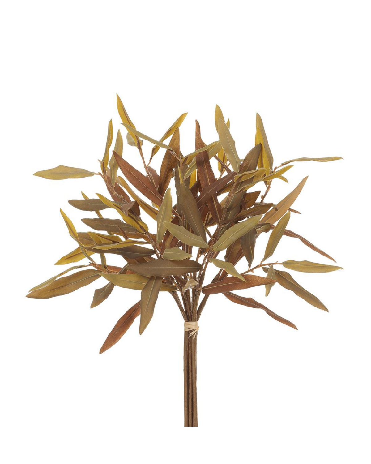 17" Dried Olive Bundle