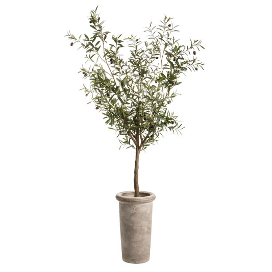 72" Olive Tree Cement Planter