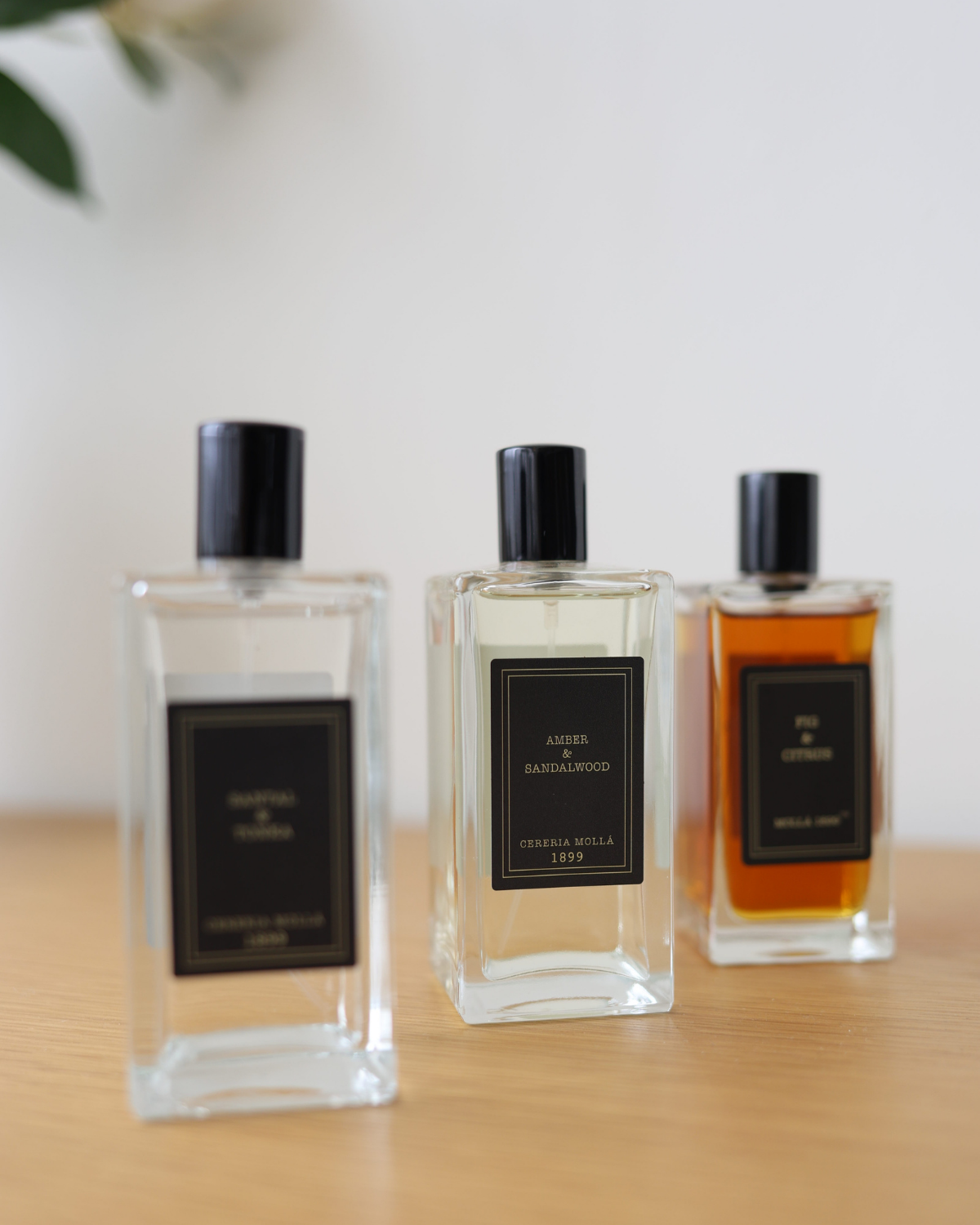 Cerería Mollá Premium Body Mist