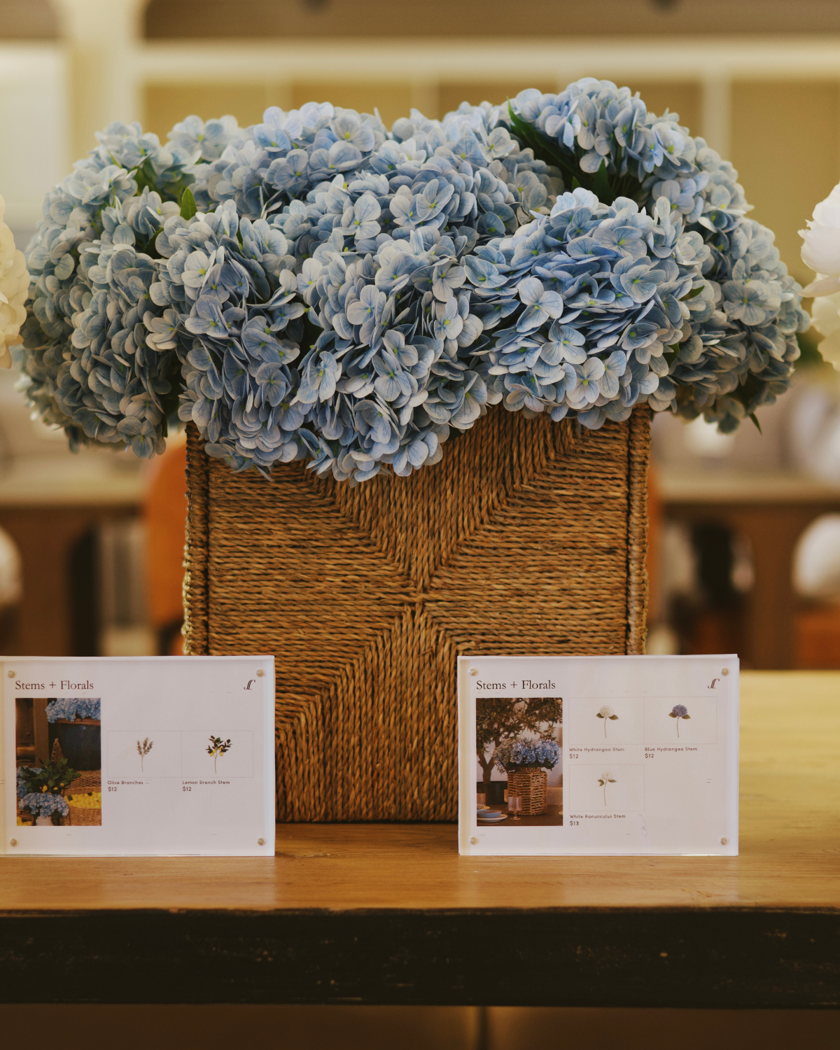 Blue Hydrangea Stem