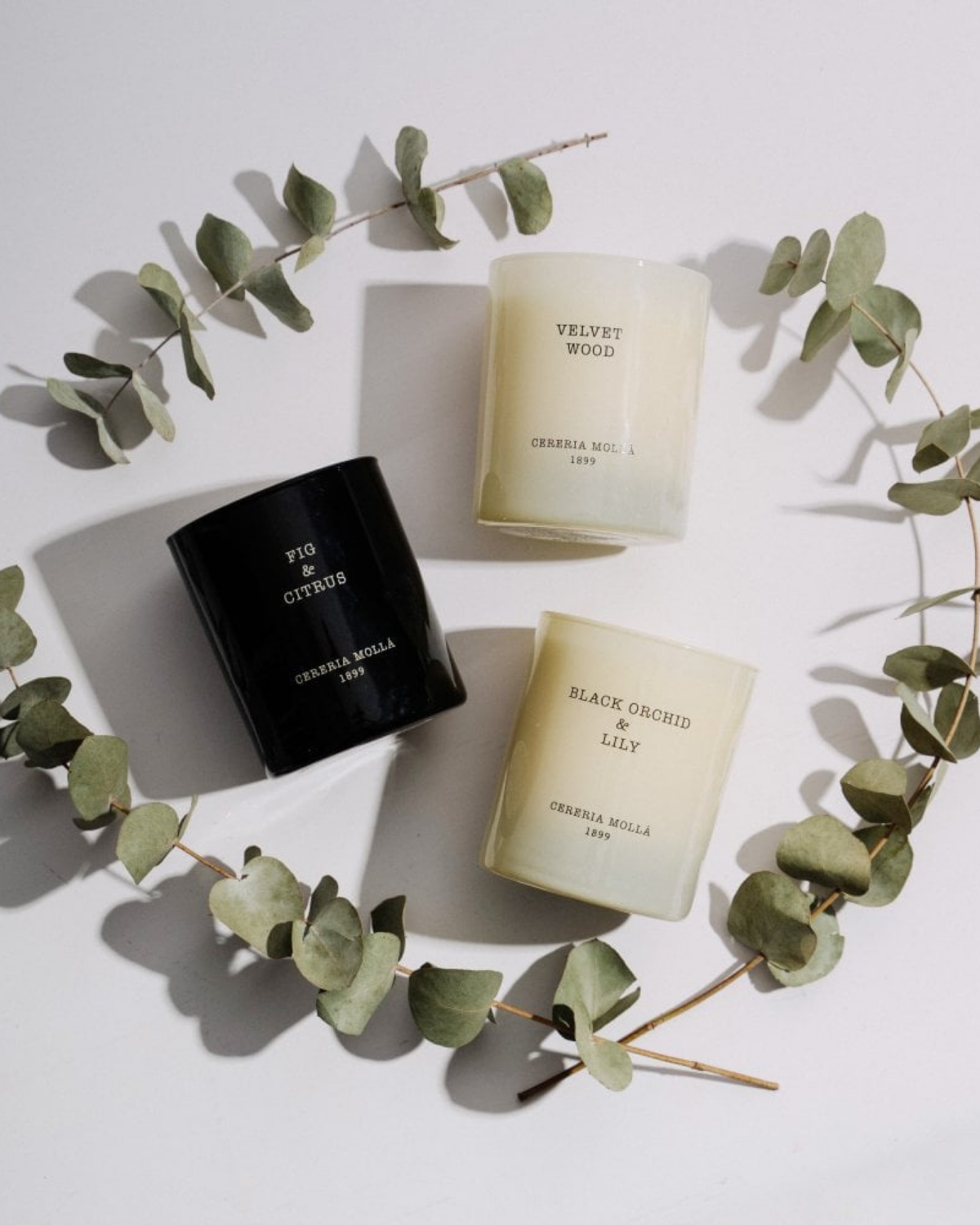 Cerería Mollá Premium Candle