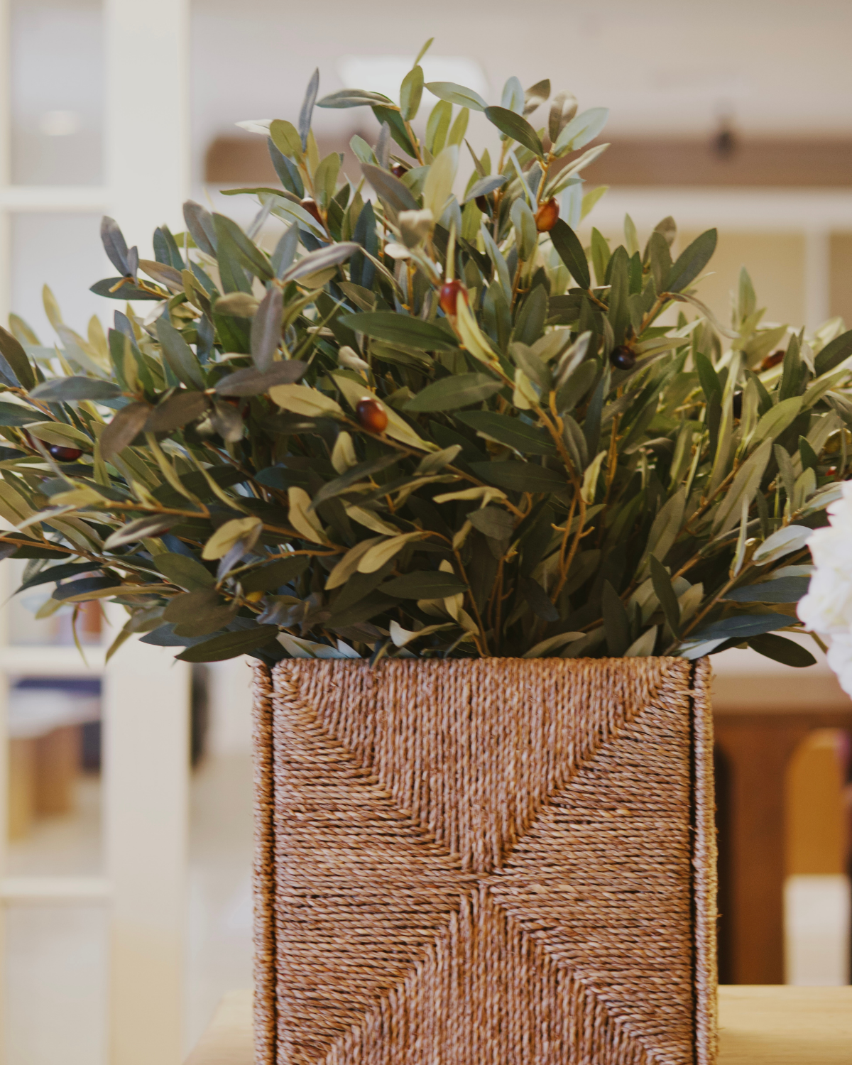 Olive Branches
