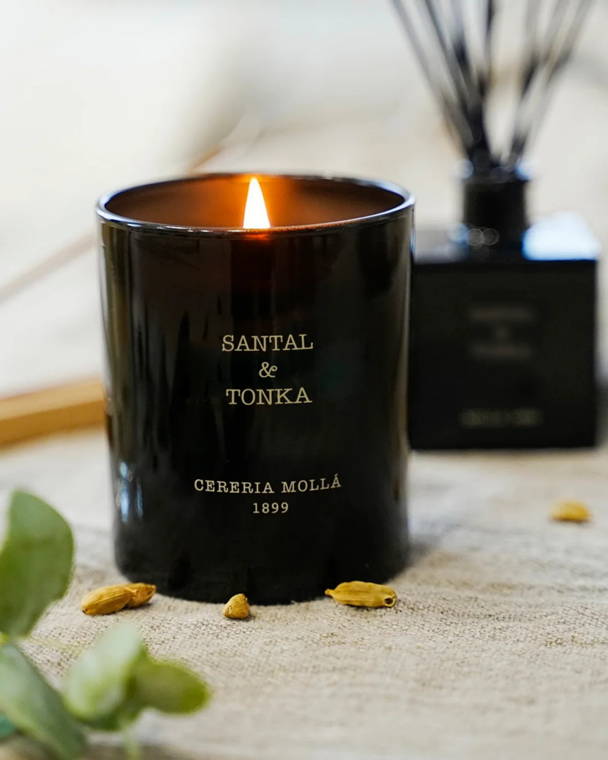 Cerería Mollá Premium Candle