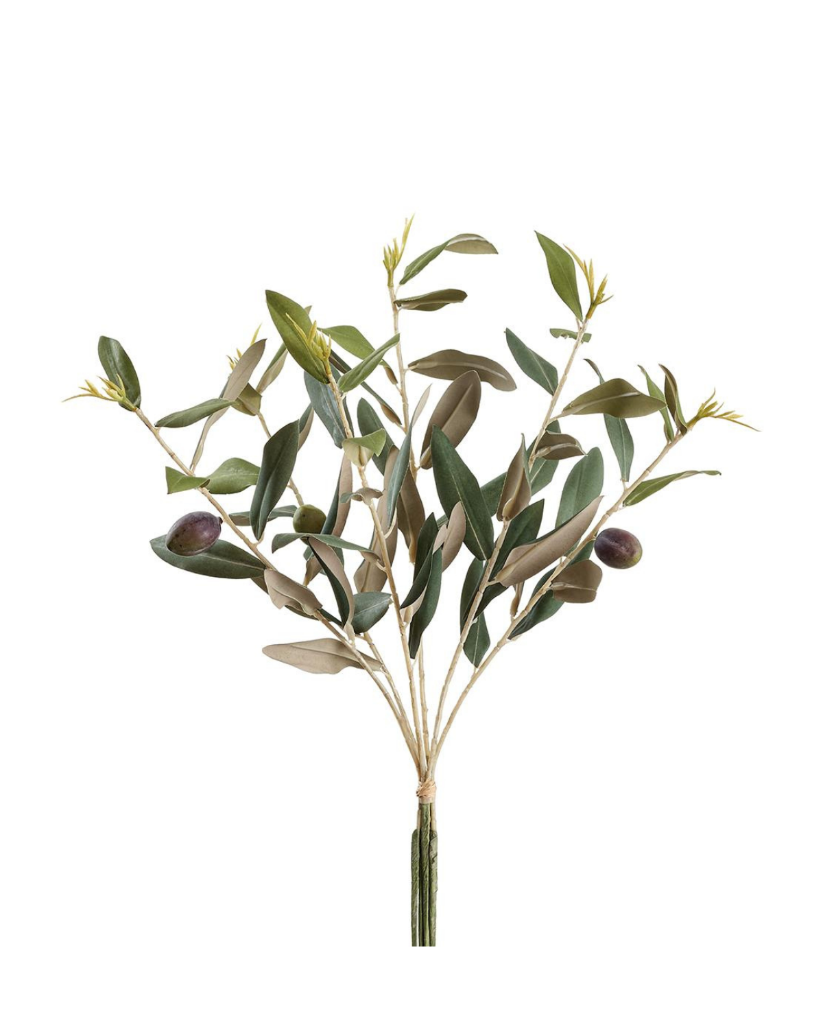 14" Olive Bundle