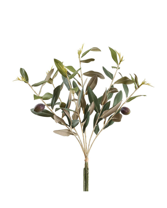 14" Olive Bundle