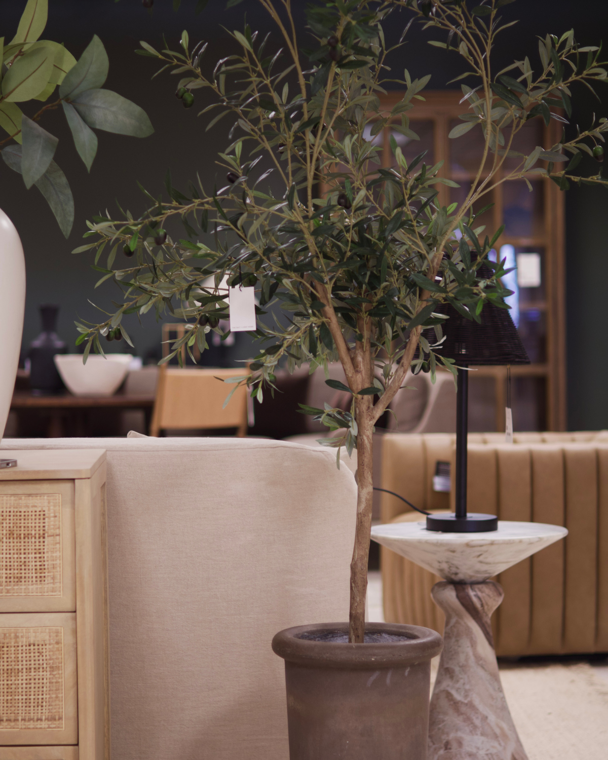 52" Olive Tree in Cement Planter