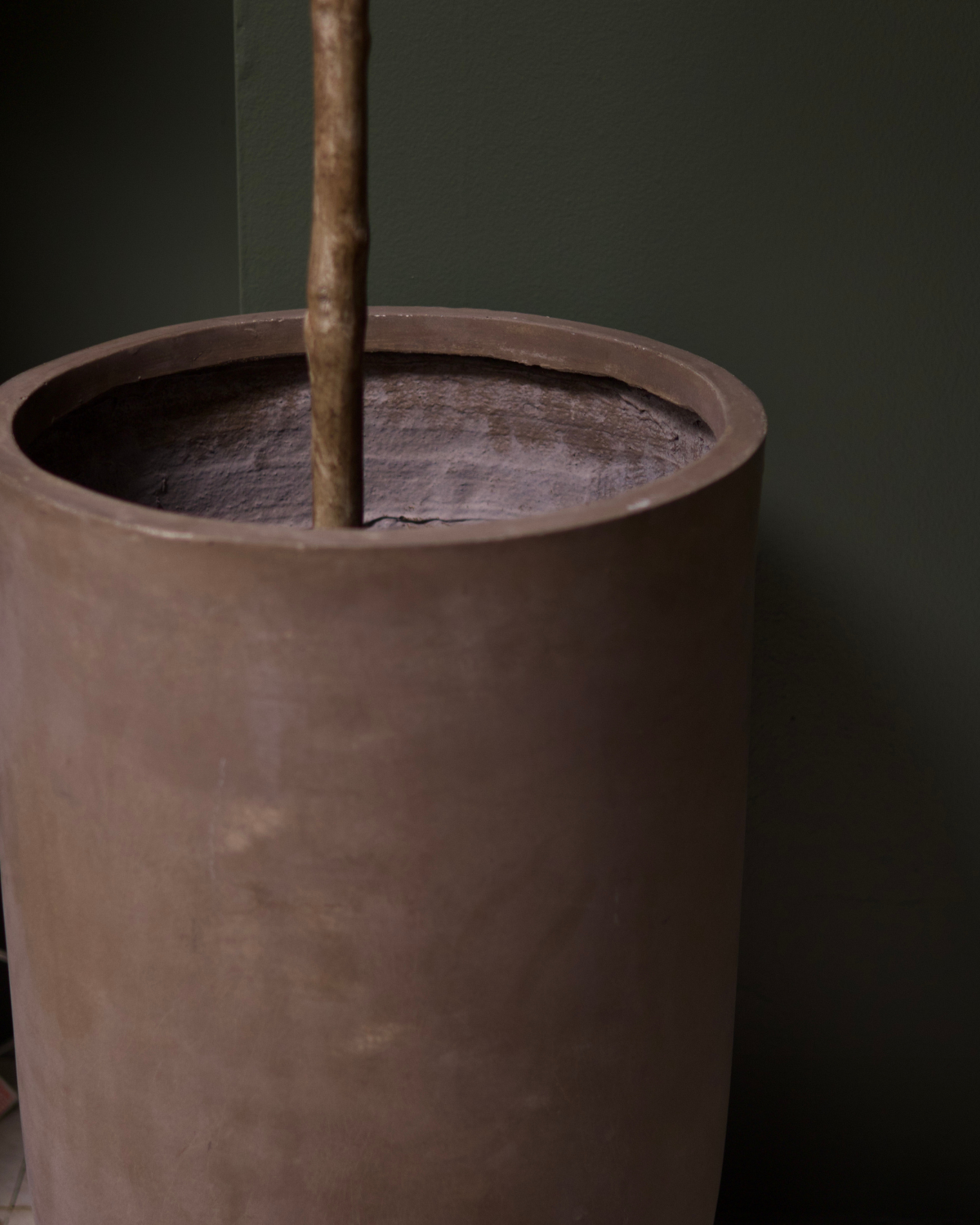 72" Olive Tree Cement Planter