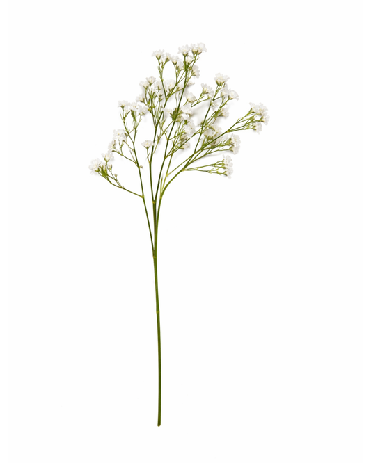 White Spray Stem