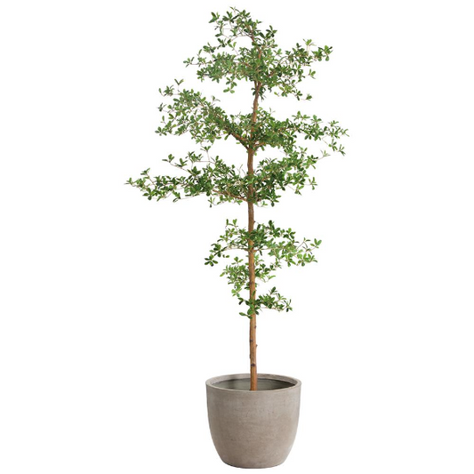 90" Shady Lady Tree in Cement Planter